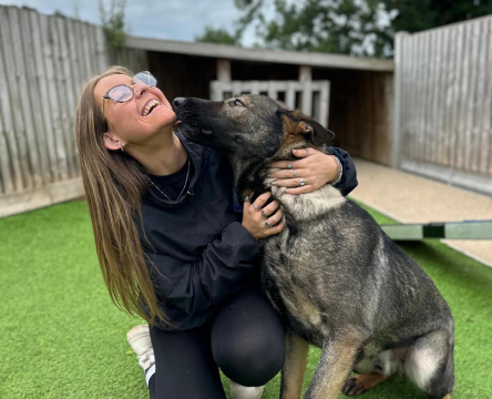 EMOTIONAL SUPPORT DOGS service image