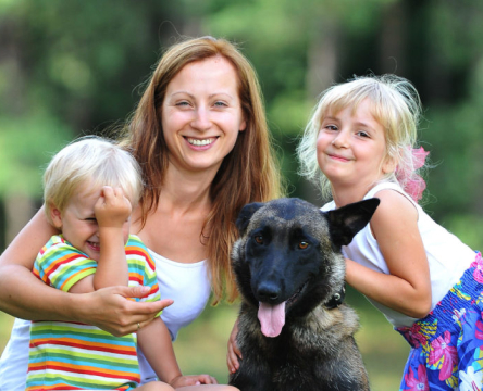 Therapy Dogs service image