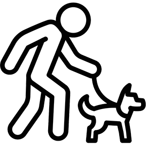 Mobility and Balance Assistance