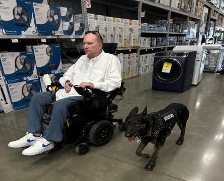 trained service dogs service image